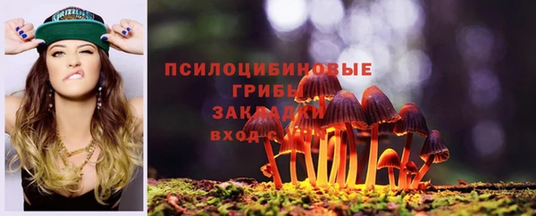 ешки Лиски